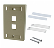 FACE PLATE 2P ALTO IMPAC BEIGE